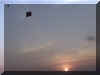 sunsetkite3.jpg (98379 bytes)