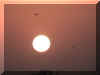 sunsetkites2.jpg (96896 bytes)