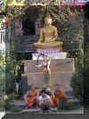 Monksbuddha_WEB.jpg (150982 bytes)