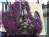 balconyflowers.jpg (164567 bytes)